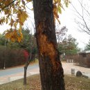 참나무공원 화장실 이미지