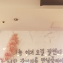 맨앤독 애견카페 이미지