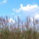 별똥농장 이미지