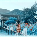 관계를 구걸하지 않는 마음 이미지