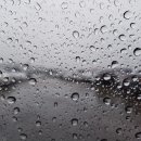 루키 PC방 이미지