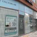 배곧에이플러스 | 시흥 배곧 운동 없이 누워서 다이어트하는 셀포랩 델루나 후기