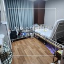 뽑고걸어 | 청주 엠에스여성의원 입원실 구관 일반실 특실 차이 둘 다 이용해 본 후기