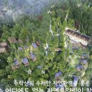 수락산 순환산책로 이미지