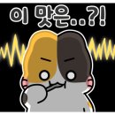 세보수산 - 남양주시 경춘로 934 | 세보수산