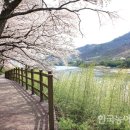 읍내삼거리 이미지