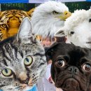 도농중학교 이미지