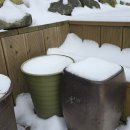 신촌지락 이미지