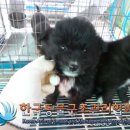 대곶남로 이미지