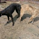 혈도농장 이미지