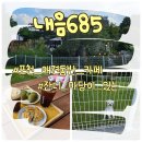 포천 애견동반 카페 잔디 운동장 내음685카페 내돈내산 후기
