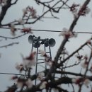 안동2리 이미지