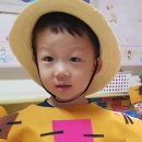 참새 허수아비 이미지