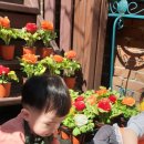 해랑어린이집 이미지