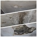 성서주공6-1 | [공지] 대구누수탐지전문업체 성서 4주공 아파트 누수탐지 후기