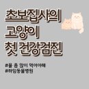루나동물병원 | 초보집사의 고양이 생애 첫 건강검진 후기(1살 반)
