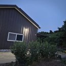 쉼터민박 | 경산펜션 쉼터민박 바베큐와 불멍까지 완벽했던 후기