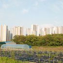 금빛초교 이미지