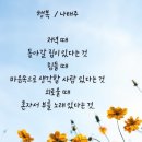 시골순대 이미지