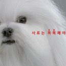 동네방네광고 이미지