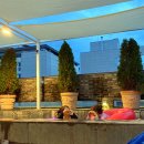 호텔뮤제오(HOTEL MUSEO) | 청주터미널 부근 호텔 뮤제오(hotel museo)숙박 후기/풀문수영장/보테가레스토랑