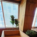 편백효소찜질 본점 이미지