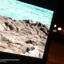 연안부두길 이미지