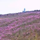 유가사 주차장(구) 이미지