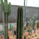 만악농장 이미지