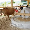 화천민속박물관 이미지