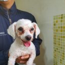 용화고길 이미지