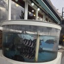 사계절 바다맛집 이미지