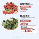 주) 신세계이마트 가양점 | 이번 주 이마트 고래잇 페스타 이건 보고 가세요