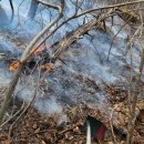 돌나라 십계석국 ㅡ경북 청송 산불을 체험하며ㆍㆍ 이미지