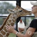 영훈목장 이미지