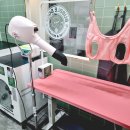 버블독스진주 | 24시 무인카페 & 셀프애견목욕 함께 무인창업! 버블독스 혁신도시점 설치 후기