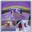 알프스마을민박 이미지