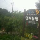 양지농원 이미지
