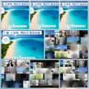 시글 | (7월 책쓰기 정규수업 후기) 송주하글쓰기아카데미 매주 수요일 밤 9시글쓰기 책쓰기 수업을 진행합니다