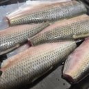 세꼬시초장 이미지