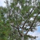 백송농장 이미지