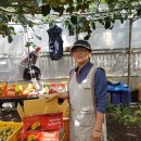 김연화농장 이미지