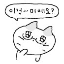 여주-0441 네이버블로그