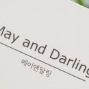 메이앤튤립