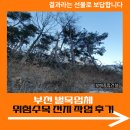 믿음환경건설 | 부천 벌목업체 위험 수목 전지 작업 후기