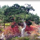 고요정원 이미지