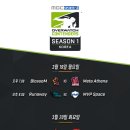 블로썸코리아 이미지