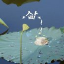은율 - 춘천시 공원1길 14 | 은율
