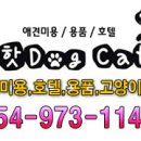 핫도그캣찹 이미지