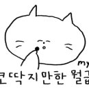 도나소아베